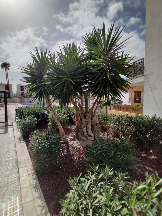 Apartment Soleil Altamar Playa de las Americas  Bagian luar foto